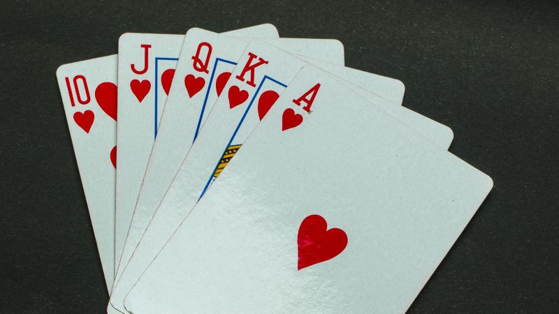 Hướng dẫn cách chơi Catte từ A đến Z và mẹo để “chắc chắn chiến thắng”