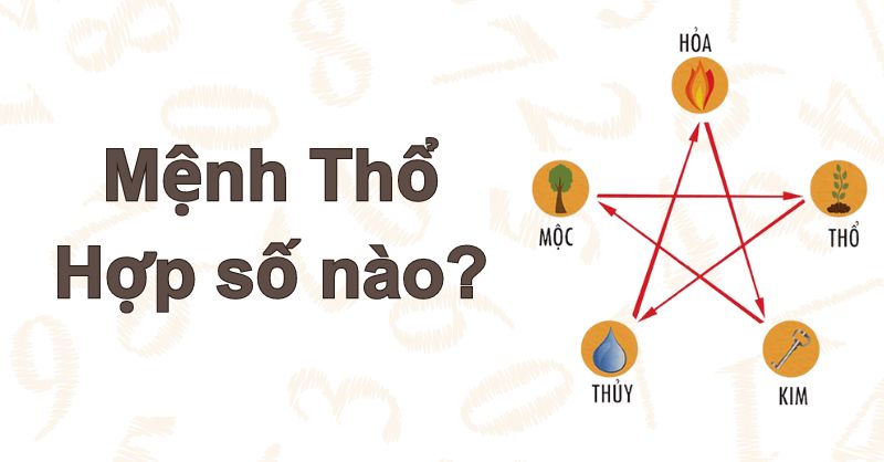 Những con số nào phù hợp với mệnh Thổ? Giải thích về màu sắc và số điện thoại phù hợp với mệnh Thổ