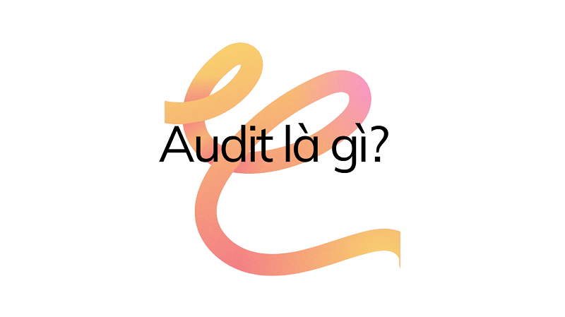 Audit là gì? 3 bước thực hiện audit kiểm toán viên cần biết