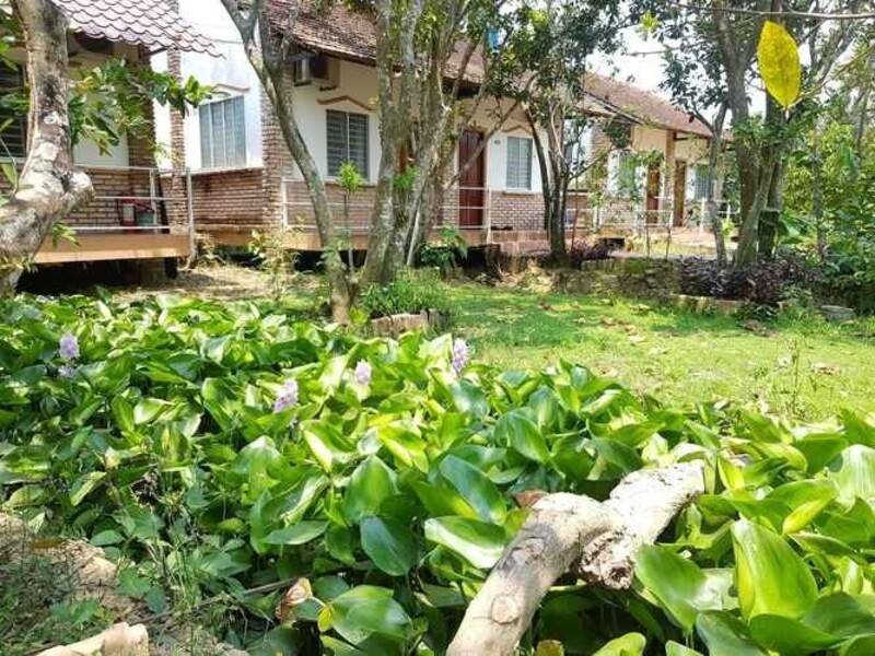 Mekong Homestay Chill tại Vĩnh Long