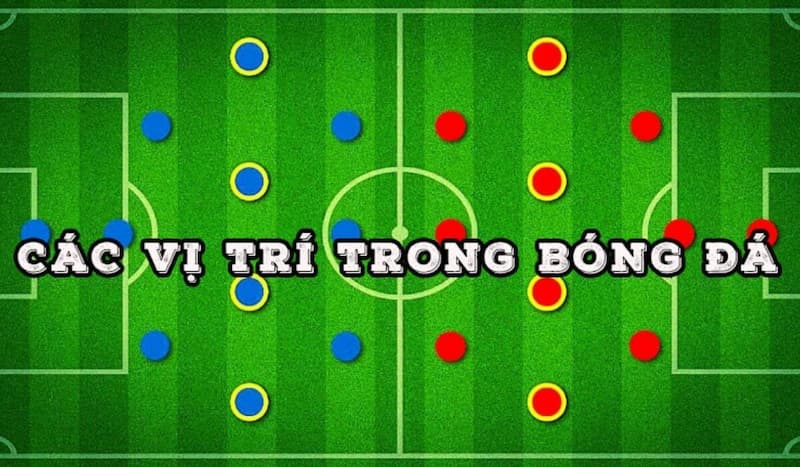 Trong Bóng Đá Có Bao Nhiêu Vị Trí Quan Trọng Chính Thức?