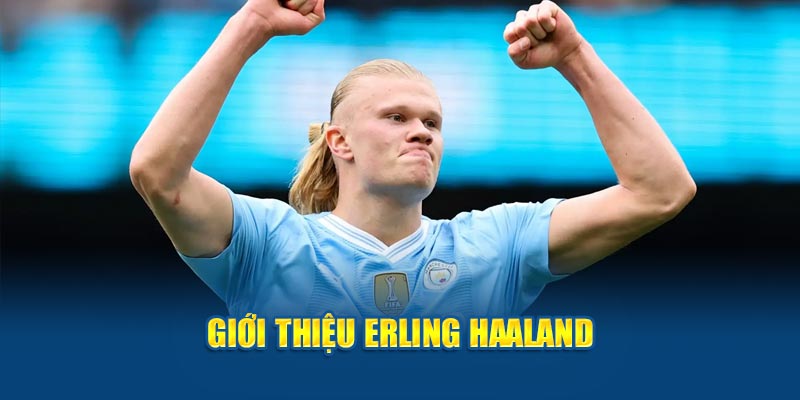 Erling Haaland Sự Nghiệp Bóng Đá Và Thành Tích Đạt Được - luongson122.tv