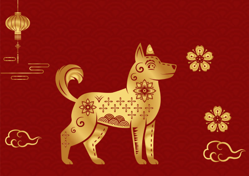 Hạn Tam Tai của tuổi Nhâm Tuất năm 2024 đối với nữ mạng